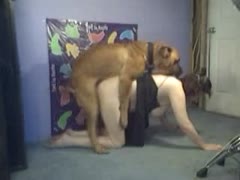 Huge brown dog xxx with a MILF in a small room